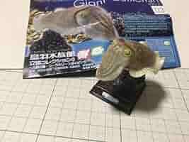 コブシメ　ネイチャーテクニカラー 未開封 コブシメ ネイチャーテクニカラー 未開封 フィギュア